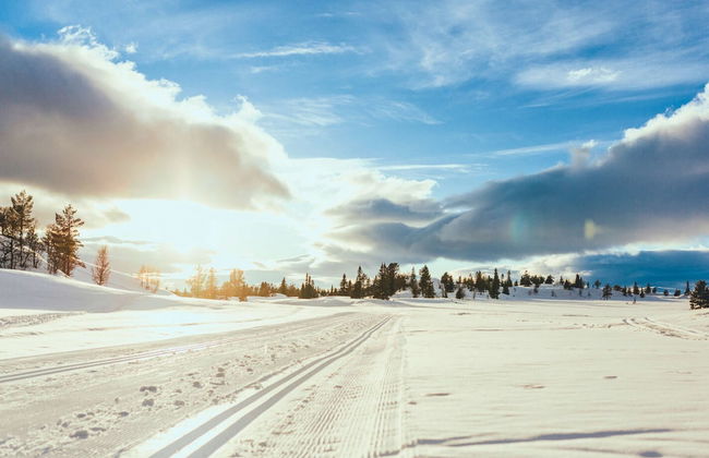 Modern Mountain Cabin - 3 Bedrooms - Sleeps 7 - Foto 33