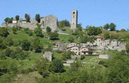 Grillo Rosso Taverna - Foto 13