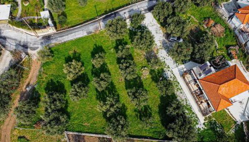 Myrtilli Cottages Pelion - Foto 3