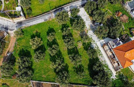 Myrtilli Cottages Pelion - Foto 3