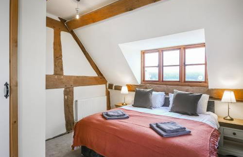 Uk46589 - Kibble - Photo 8