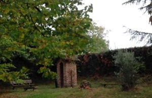 Casa Ramonda - Foto 17