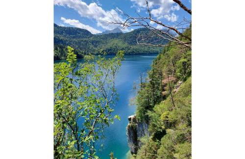 Holiday apartment Alpenrose - Foto 40