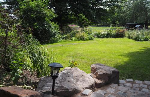 The Owl Hoot - Foto 10