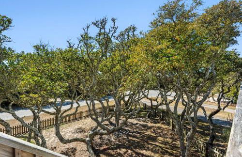 Reel Heaven - Foto 20