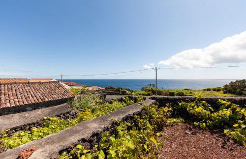 Cantinho do Sossego - Photo 7