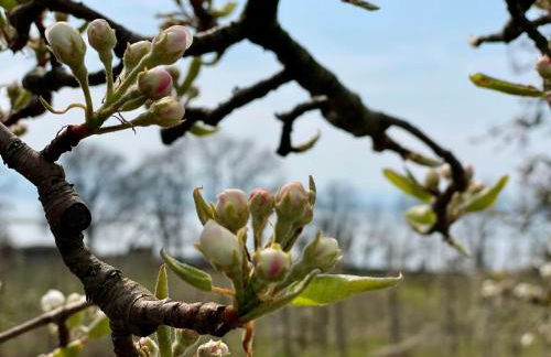 Apartment BLICKinsGRUEN by Interhome - Foto 49