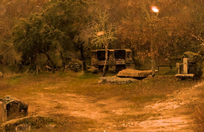 Douro Camping - Foto 31