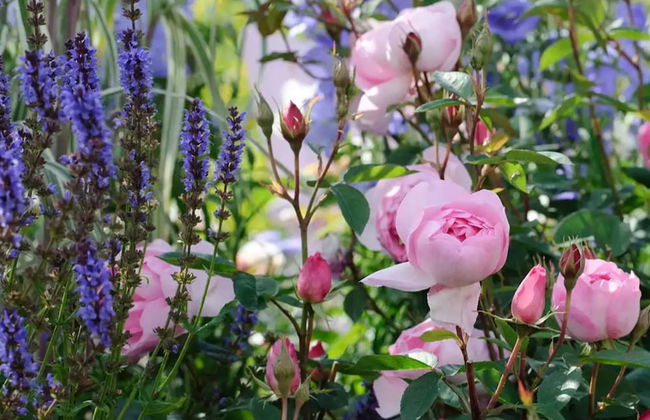 Loxley Barn, 1-bed Cottage Retreat - Foto 33