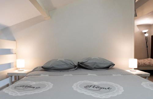 COSY Home - 2 à 4 pers - Aéroport - vieux Blagnac - Foto 21