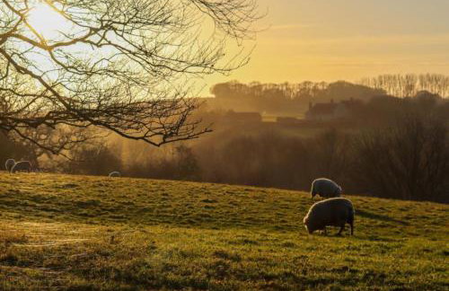 The Den - Winchelsea - Foto 19