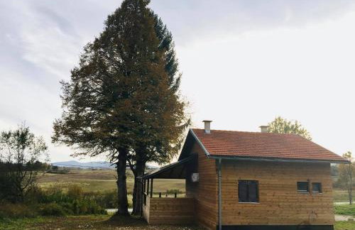 Evergreen house Plitvice - Foto 35