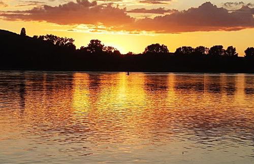 Rheinapartment 8 - Foto 2