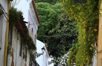 ESTÚDIO 81 junto à Sinagoga - Foto 60