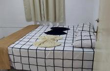 Apê Aconchegante 3 - Foto 3