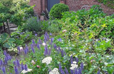 dat olde Köhlhus - Foto 23