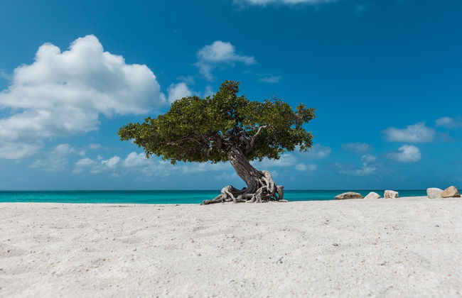 Large Villa With View! Private Pool Free Utilities! - Photo 63