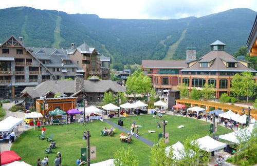 409 - 3 bed - Treehouse unit - Spruce Peak at the Base of Stowe Mt Resort - Sleeps 9 - Foto 37