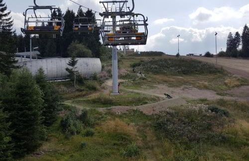 Ferienhaus Am Kirchberg - Foto 19