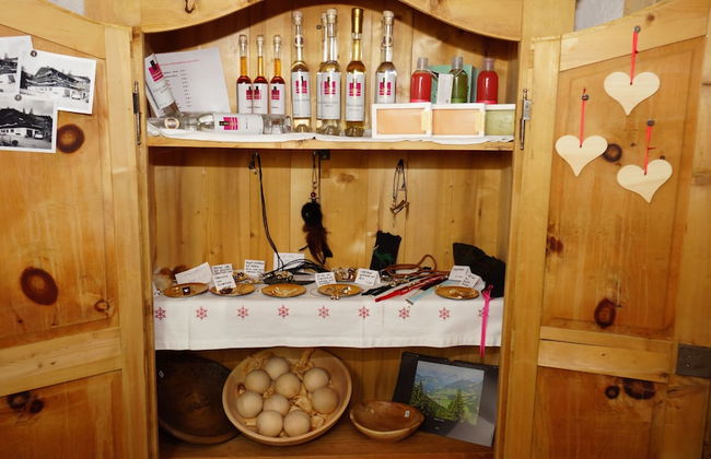 Alpbach Bergwald - Foto 4