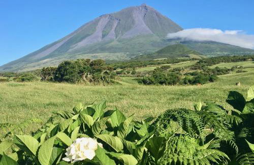 Casa do Almance - Photo 49