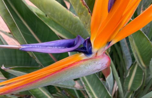"Our Soleada" Villa cosy and flowery, heated pool - Foto 6