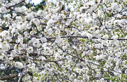 Appartamenti Tortorella - Foto 45