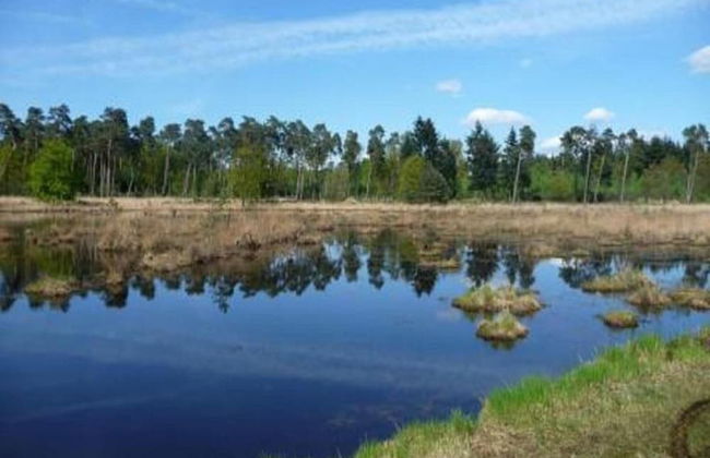 Chalet in Holiday Park With Private Terrace - Photo 34