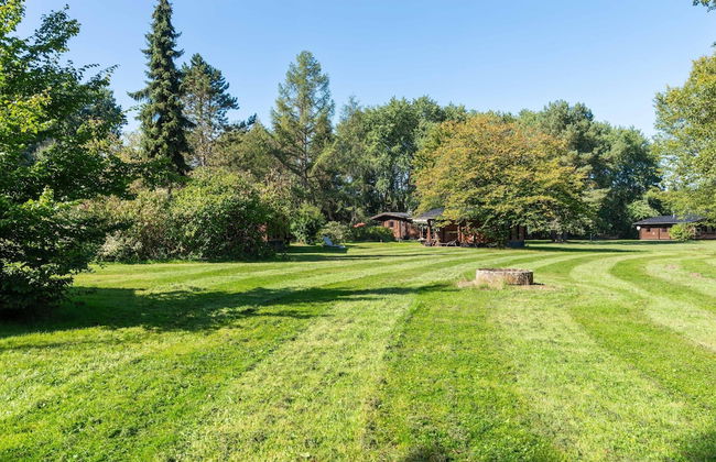 Blockhauser auf Reiterhof in Eschede - Foto 67