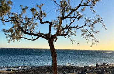 Ferienhaus Asterousia - Foto 8