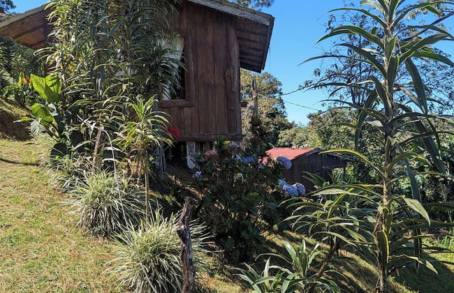 Campos de Oro Wilderness Lodge - Foto 37