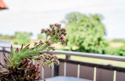 Strandperle Appartements - Foto 72