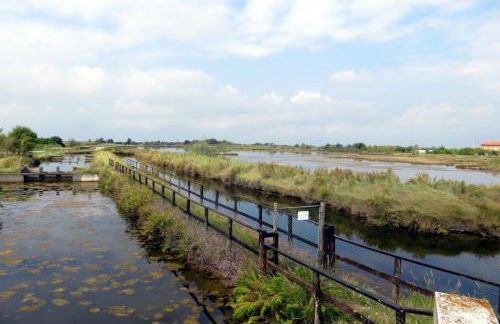 Ca' Savio terramare - Foto 36