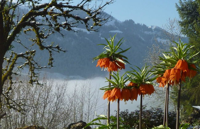 Auf der Mauer - Foto 9