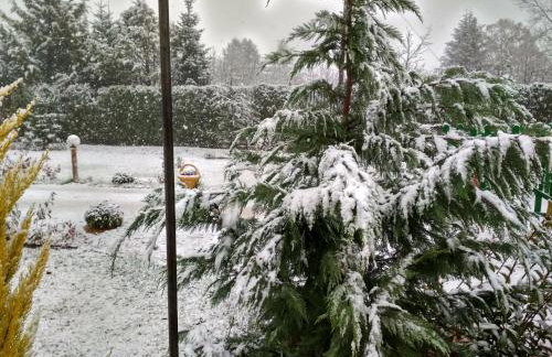 Kastor Chalets - Foto 49