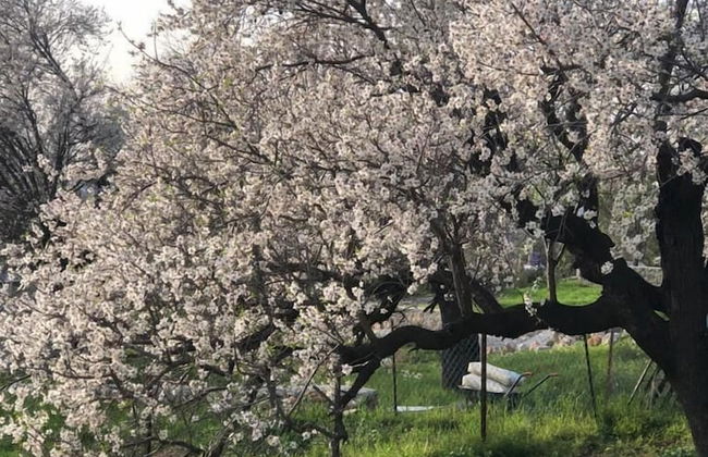 Salvia Butik Hotel - Foto 21