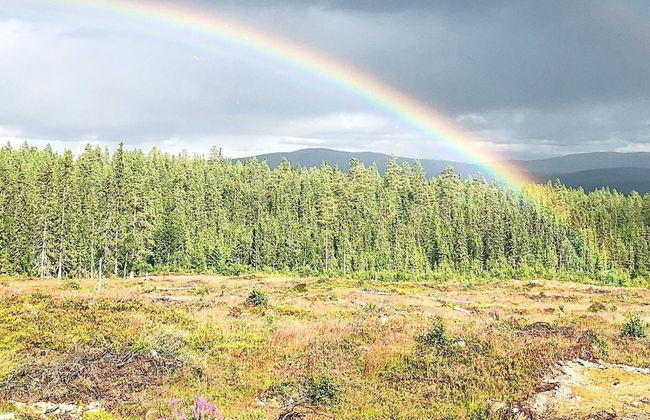 8 Person Holiday Home in Osen - Foto 15