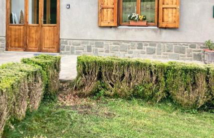 Lodge Pizzo Alpestre - Foto 24