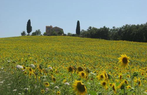 Agriturismo Chieteno con piscina e AC- Cetona - Foto 56