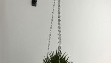 Loft Arco del Cristo. - Foto 3