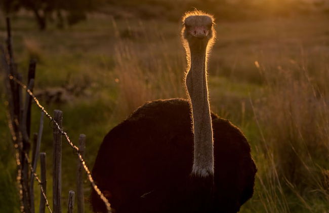 Springwater Cottages - Photo 61