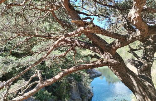 Casa Lobo Panticosa - Photo 18