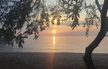 Biba Apartman - Foto 43