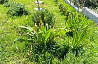 Family House - Art Villa Presika - Labin Old Town - Foto 15