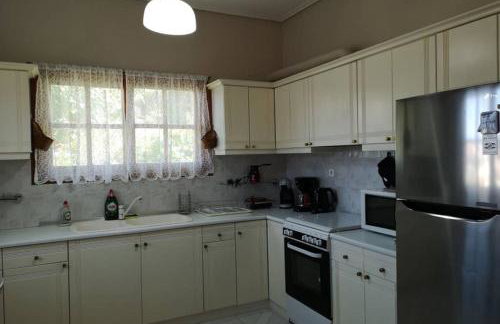 Village View - Photo 29