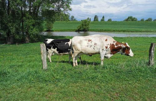 Rose Cottage in Rees die Seele baumeln lassen - Photo 22