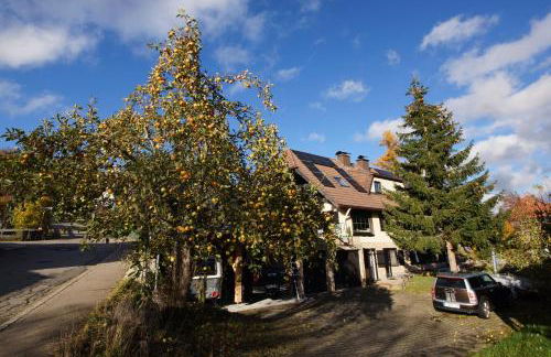 Biber Lodge - Foto 6