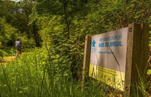 Studio du Mesnil - Photo 10