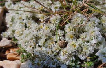 SWIM and CLIMB BAŠKA HOLIDAY HOUSE - island KRK - Foto 73