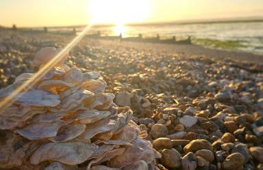 Robins Sunset Holiday Home - Foto 38